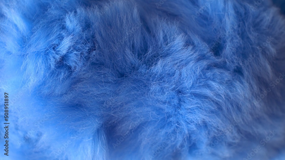 Obraz premium Blue faux fur. long pile. Children's toy. Piece of clothing. animal protection. Substitute for natural fur. fabric production. close-up.