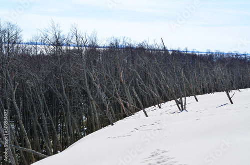 Slovinski national park, Leba sand dune on the Baltic coast, Poland, Europe