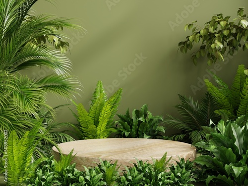 Circle wood pedestal in tropical forest for product presentation and green wall.