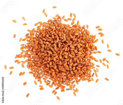 Fotografi Camelina sativa seeds isolated on white background