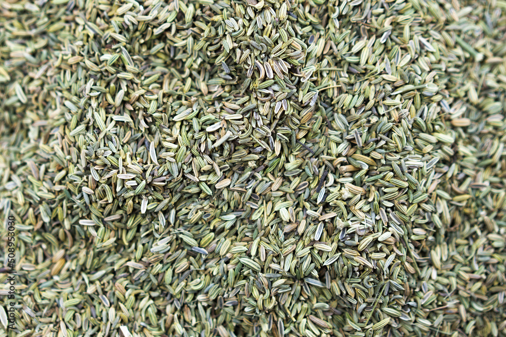 cumin seed spice