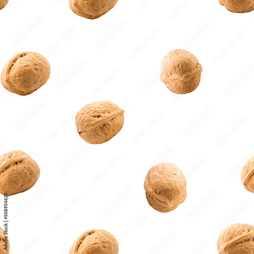 Walnut nut isolated on white background, SEAMLESS, PATTERN