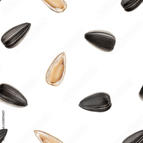 Sunflower seed isolated on white background, SEAMLESS, PATTERN