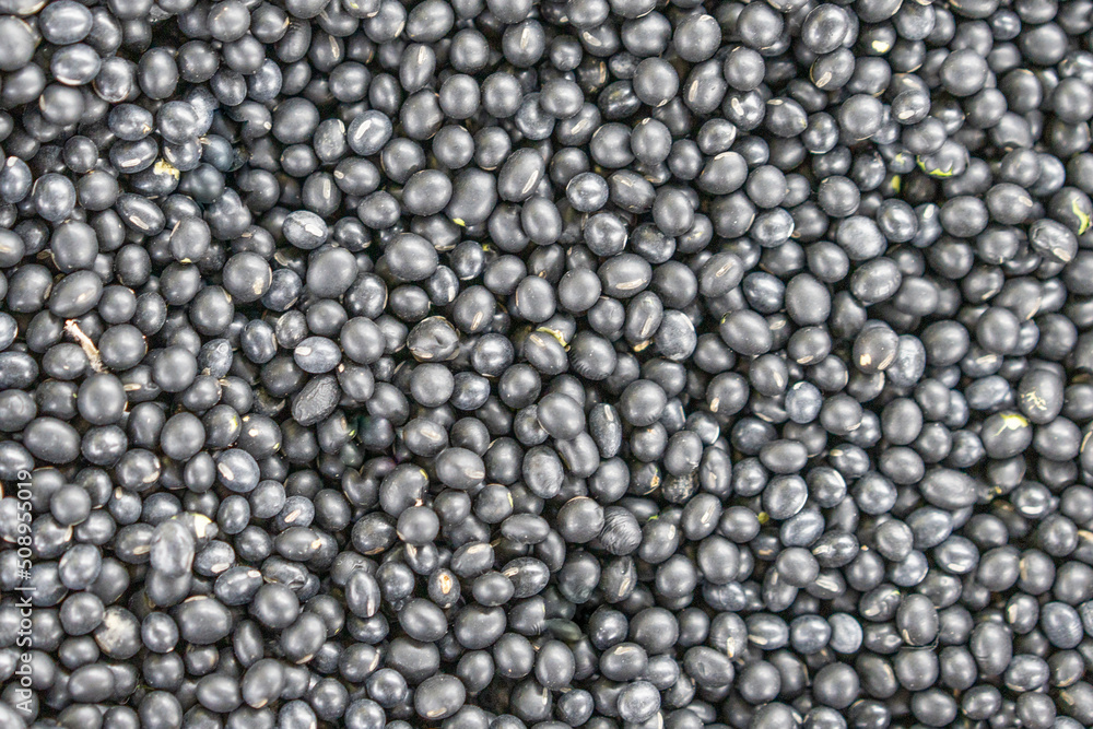 Green Heart Black Bean Multigrain Green Heart Black Bean Multigrain