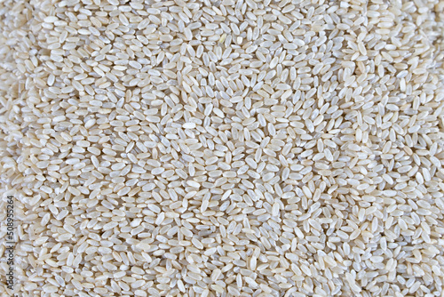 brown rice food grain