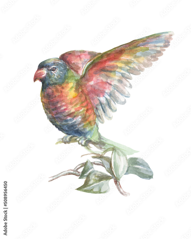 Fototapeta premium Parrot tropical birds watercolor illustration hand drawn jungle twigs leaves bright colorful birds macaw cockatoo nature