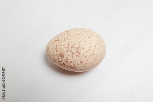 Fresh Turkey Eggs on a white background Large speckled eggs (egg shells)