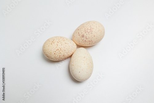 Three fresh Turkey Eggs on a white background Large speckled eggs  egg shells 
