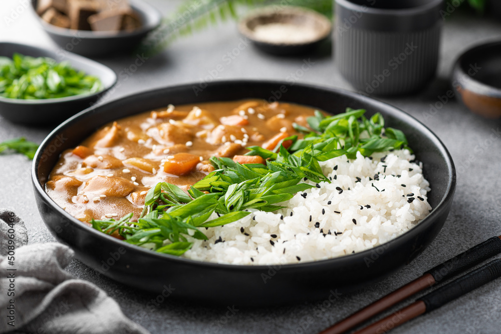 Japanese curry with rice and green onions in a ceramic plate, selective focus