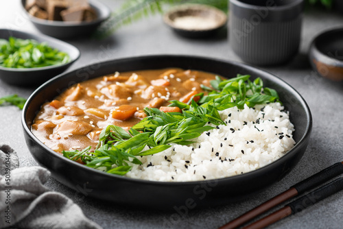 Japanese curry with rice and green onions in a ceramic plate, selective focus Fototapet