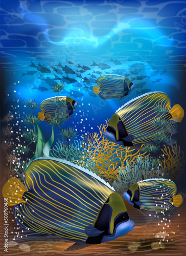 Underwater tropical card with Yellow and blue Angelfish Imperial, vector illustration photo