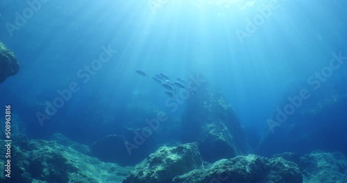 Wallpaper Mural fish scenery underwater from mediterranean sea Torontodigital.ca