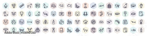 pet shop outline icons set. thin line icons such as sleighbell, pet comb, dog urinating, big shark, dog seatting, dog collar, ph test, big swordfish, man and icon.