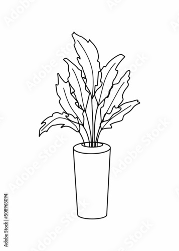 Vector flowerpot icon. Home Indoor Plants. Houseplants in Pots. Doodle illustration  clipart. Tropical plant outline icon