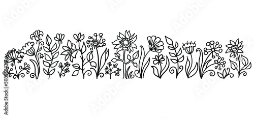 field flowers vector handrawn illustration isolated on white. Nature floral scetch