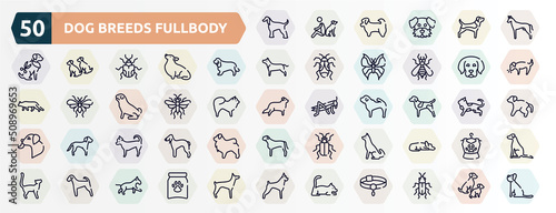 dog breeds fullbody outline icons set. thin line icons such as afghan hound, pharaoh hound, english cocker spaniel, dog puppy, sawfly, german shorthaired pointer, chihuahua, akitas, airedale, laying