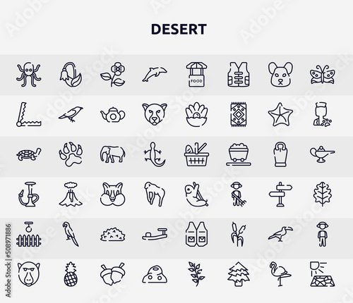 desert outline icons set. thin line icons such as octopus, dolphin, trap, elephants, sloth, parrot, sandals, toucan, anthill icon.