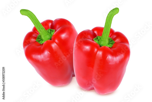 Red pepper on an isolated white background