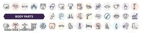 body parts outline icons set. thin line icons such as heart black shape, stethoscope, fetus in an uterus, sweat or tear drop, 24 hours medical assistance, tooth with a plus, human body standing,