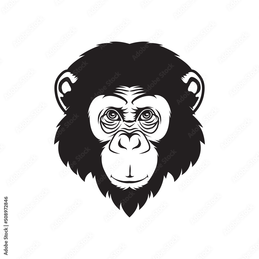 head of monkey illustration on black and white. head of monkey illustration on black and white.