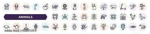 animals outline icons set. thin line icons such as medusa, no smoking, rocking horse, null, hermit crab, porcupine, rake, reeds, balloons icon.