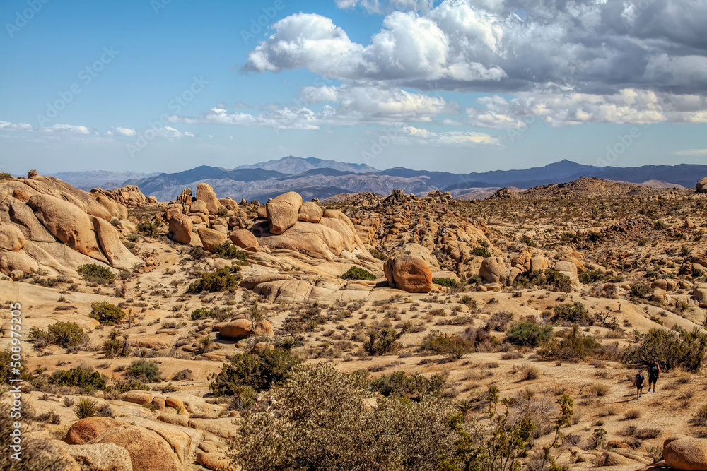 Rocky Landscape in Joshua Tree Rocky Landscape in Joshua Tree