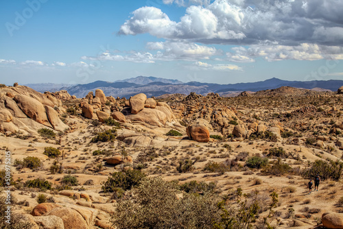 Rocky Landscape in Joshua Tree