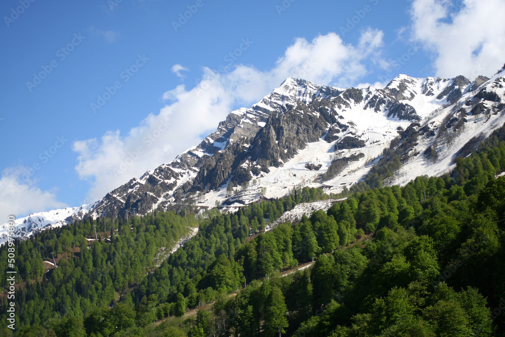 mountains in snow and forest in spring. Blue sky background