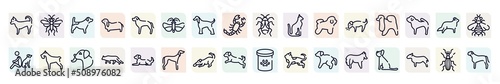 dog breeds fullbody outline icons set. thin line icons such as chihuahua, jack russel terrier, null, egyptian cat, japanese chin, miniature schnauzer, snowshoe cat, dogs playing, shetland sheepdog,