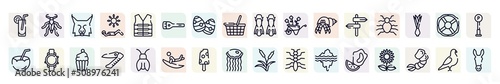 animals outline icons set. thin line icons such as lemonade, lynx, flashlight, wheelbarrow, flea, diving watch, swiss army knife, , mussel icon. photo