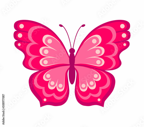Butterfly. Color vector illustration in flat style. Isolated on white background © Helen 
