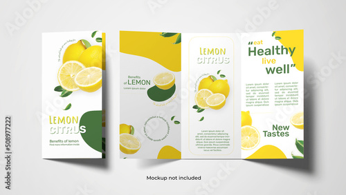 Print-ready triptych design of citrus fruits photo