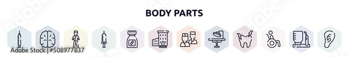 body parts outline icons set. thin line icons such as medical syringe, brain upper view, male surgeon wearing uniform, hospital syringe, medicine pills container, hospital with three floors, two