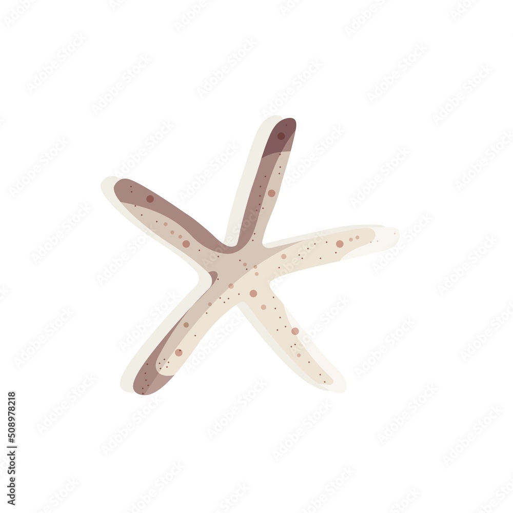 Obraz premium Starfish on the white background. Beach, marine nature, nautical concept. Isolated vector collection.