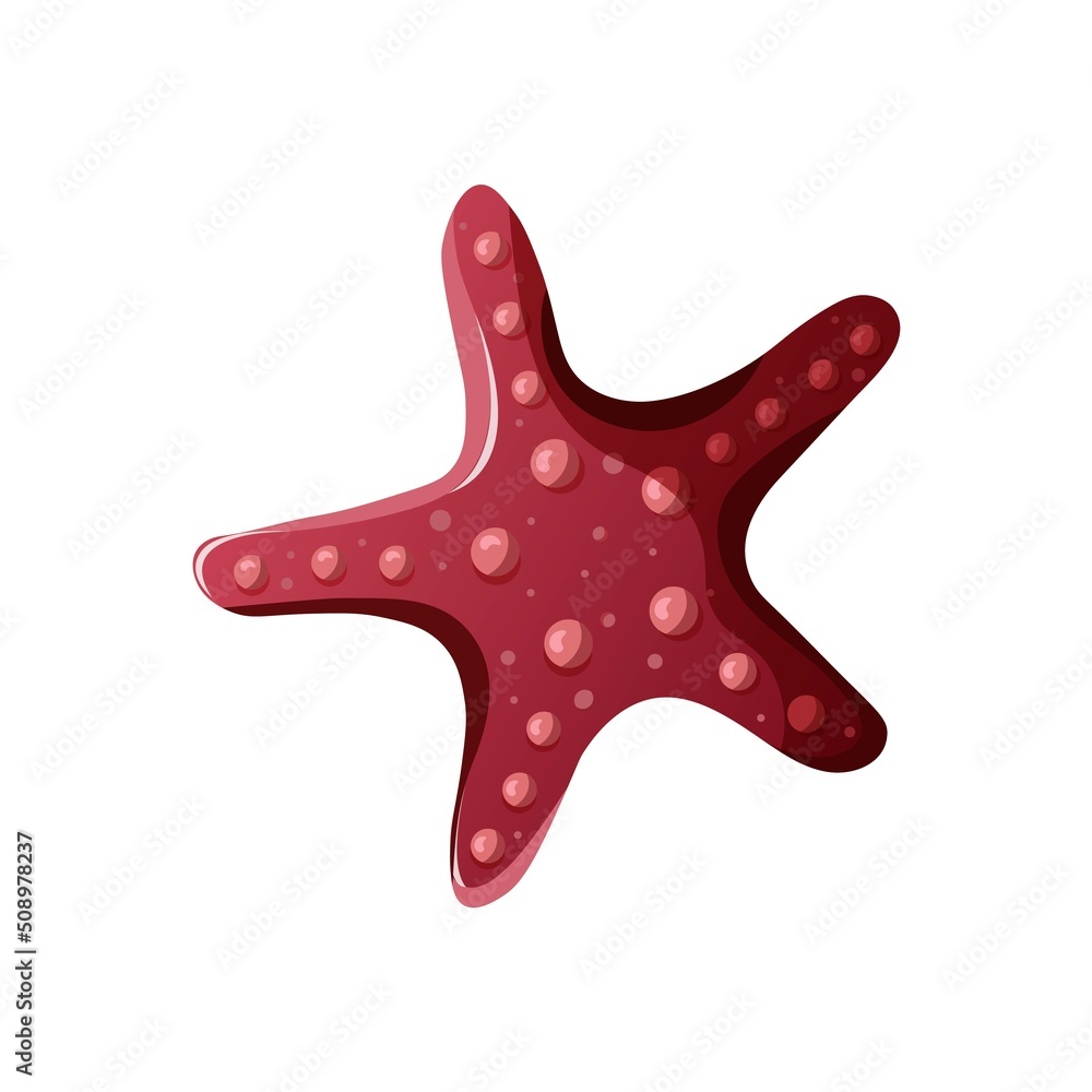 Starfish on the white background. Beach, marine nature, nautical concept. Isolated vector collection. Starfish on the white background. Beach, marine nature, nautical concept. Isolated vector collection.
