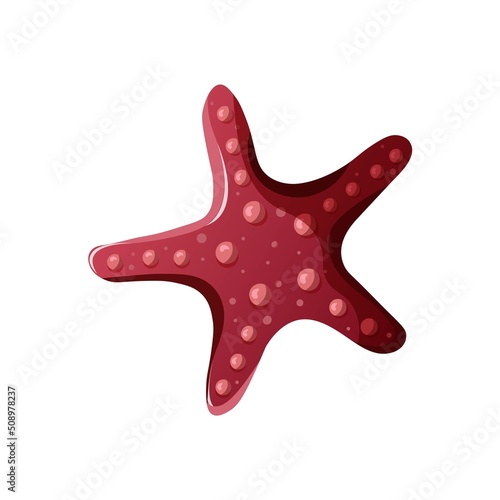 Starfish on the white background. Beach, marine nature, nautical concept. Isolated vector collection.