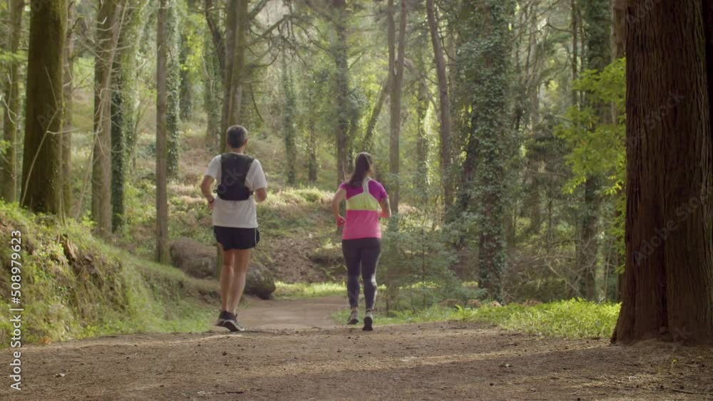Man and woman running from hill in forest. Back view of male and female athletes working out together at dusk, devoting time to physical activity. Trail running, teamwork, sport concept Man and woman running from hill in forest. Back view of male and female athletes working out together at dusk, devoting time to physical activity. Trail running, teamwork, sport concept