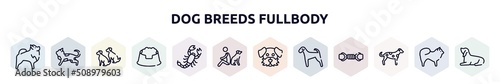 dog breeds fullbody outline icons set. thin line icons such as pomeranian, toyger cat, dogs, pet dish, scorpio, dog and man seating, dog moustache, airedale, dalmatian icon.