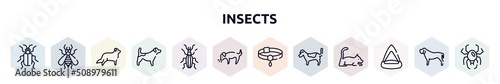 insects outline icons set. thin line icons such as asparagus beetle, null, bernese mountain, jack russel terrier, null, dog smelling dog, pet collar, jack russell terrier, cat playhouse