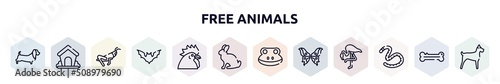 free animals outline icons set. thin line icons such as dog with long ears, dog kennel, grasshopper sitting, plain bat, chiken head, sitting rabbit, frog head, butterfly wings, earth worm
