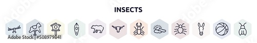 insects outline icons set. thin line icons such as seesaw, rocking horse, birdhouse, canoe, grizzly bear, bull, stag beetle, cloudy, donkey icon. photo