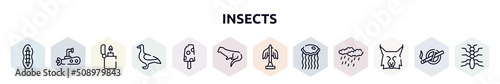 insects outline icons set. thin line icons such as plankton, submarine, lighter, goose, , otter, statue, medusa, lynx icon.