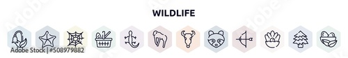 wildlife outline icons set. thin line icons such as harebell, starfish, cobweb, picnic basket, lizard, chimpanzee, bull skull, racoon, pearl icon.