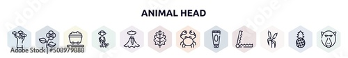 animal head outline icons set. thin line icons such as baobab, poppy, wagon, cleaner, volcano, oak leaf, crab, sun cream, bulrush icon.