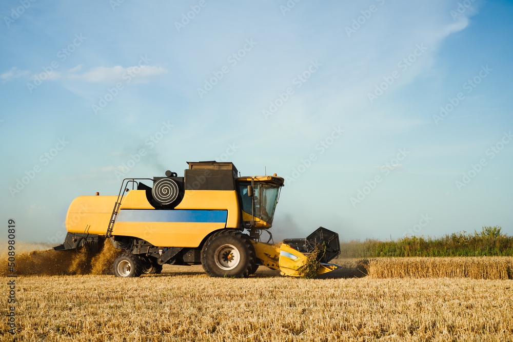 Combine harvester harvests ripe wheat. Ripe ears of gold field on the sunset cloudy orange sky background. . Concept of a rich harvest. Agriculture image Combine harvester harvests ripe wheat. Ripe ears of gold field on the sunset cloudy orange sky background. . Concept of a rich harvest. Agriculture image