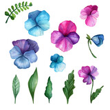 A set of watercolor pansies. Hand drawn blue, pink, purple flowers and leaves. Summer flowers.