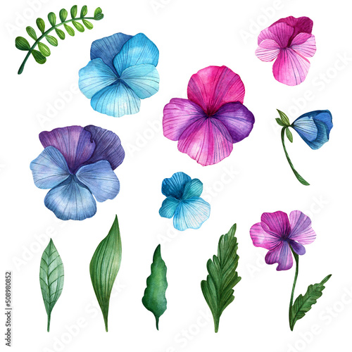 A set of watercolor pansies. Hand drawn blue, pink, purple flowers and leaves. Summer flowers. © Елена Шамрай