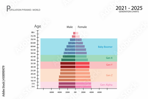 Population and Demography, Population Pyramids Chart or Age Structure Graph with Baby Boomers Generation, Gen X, Gen Y, Gen Z and Gen Alpha in 2021 to 2025.

