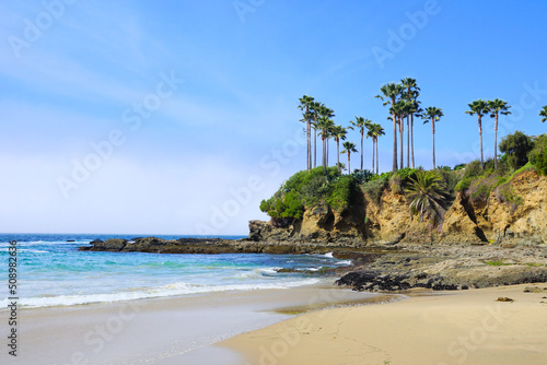 Palm trees lining the sandy shores of Laguna Beach, California, USA