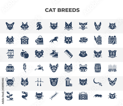 Foto filled cat breeds icons set